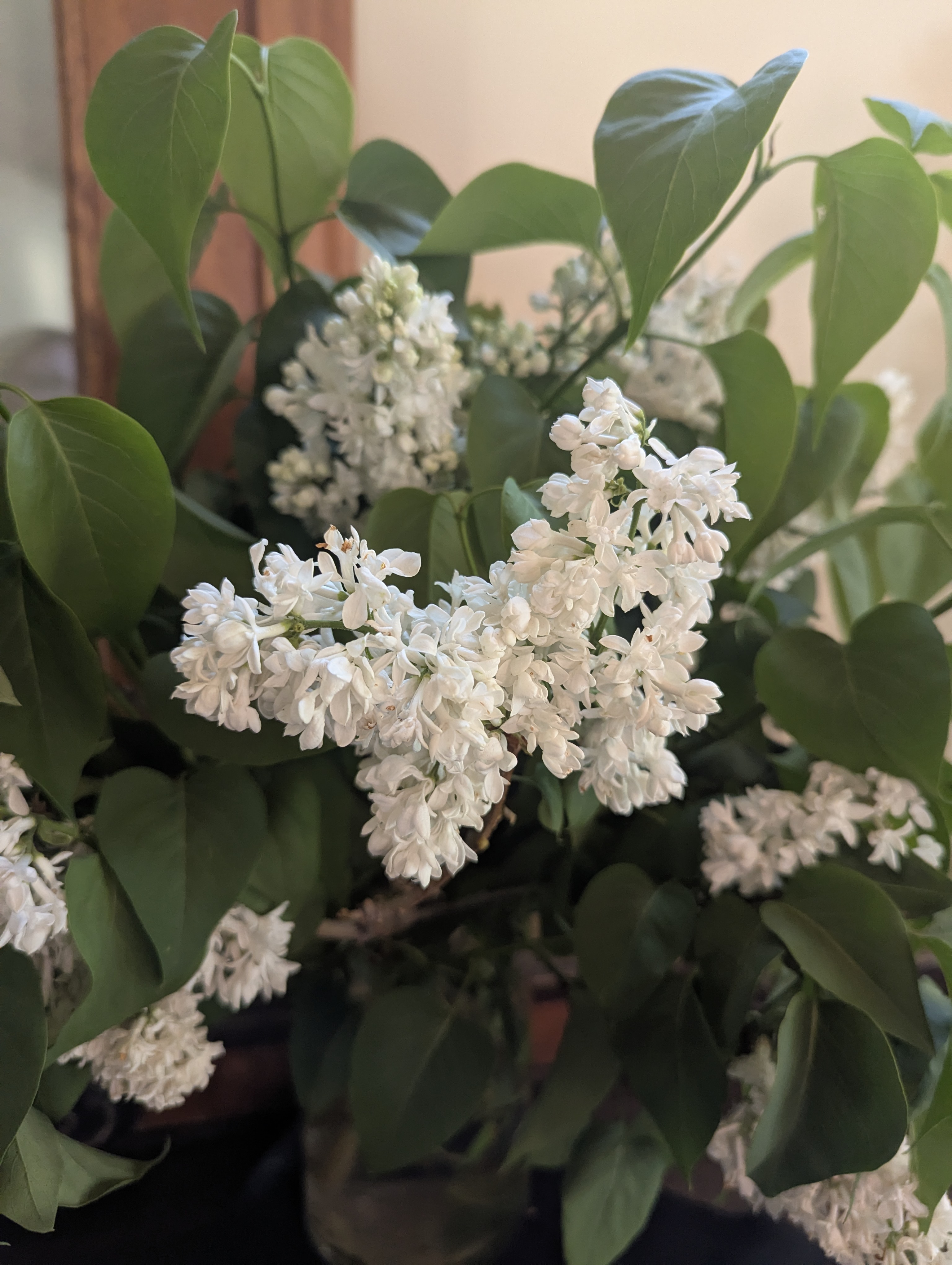 Balistreri, Winery, Denver, Colorado